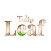 Tulip Leaf Gurgaon